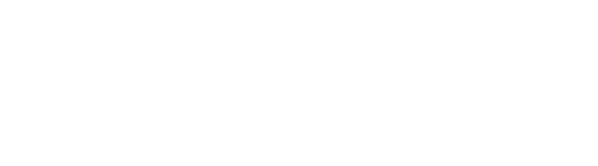 Steev Logo white